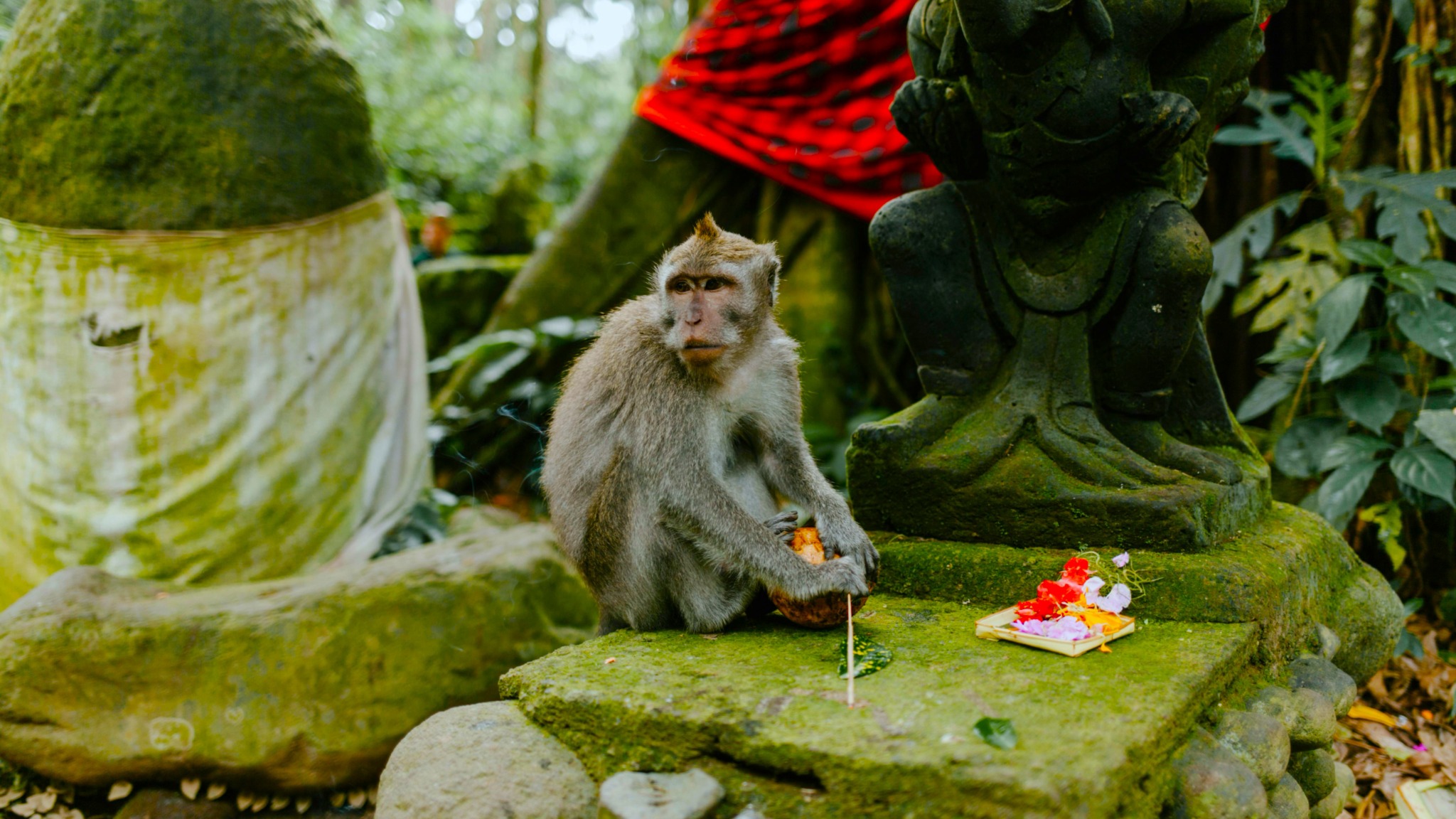 Sacred Monkey River & Balinese Water Purification